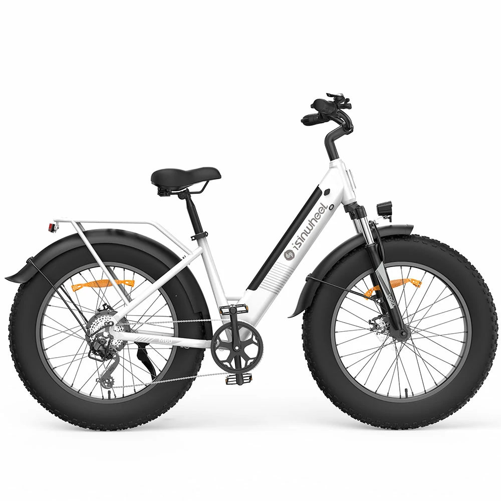 iSinwheel M60 (EU) Electric Bike