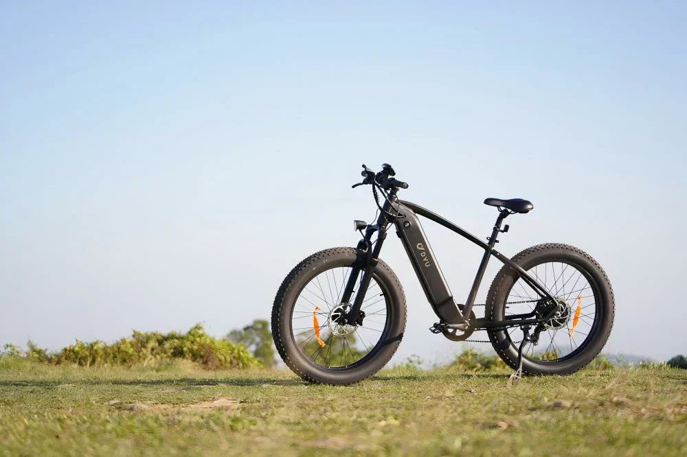 Why You Should Switch to Electric Bike Travel