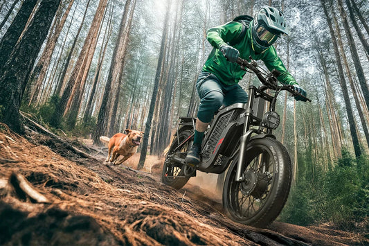 The Best Electric Bikes for Weekend Adventures: How to Choose Your Perfect Adventure E-Bike in 2026