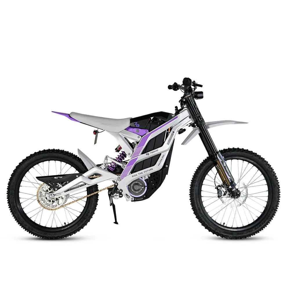 79BIKE FALCON Pro (EU) Electric Bike