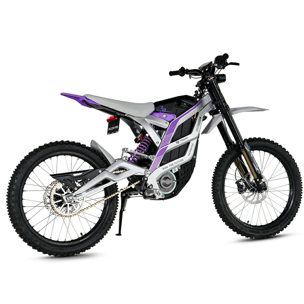 79BIKE FALCON Pro (EU) Electric Bike