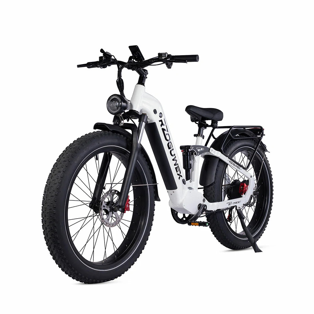 RZOGUWEX S9 (EU) Electric Bike