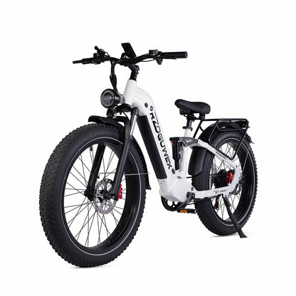 RZOGUWEX S9 (EU) Electric Bike