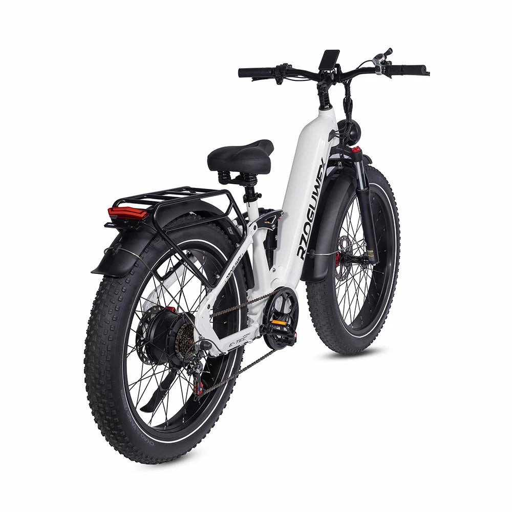 RZOGUWEX S9 (EU) Electric Bike