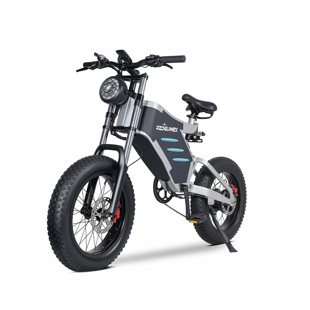RZOGUWEX X5 (EU) Electric Bike