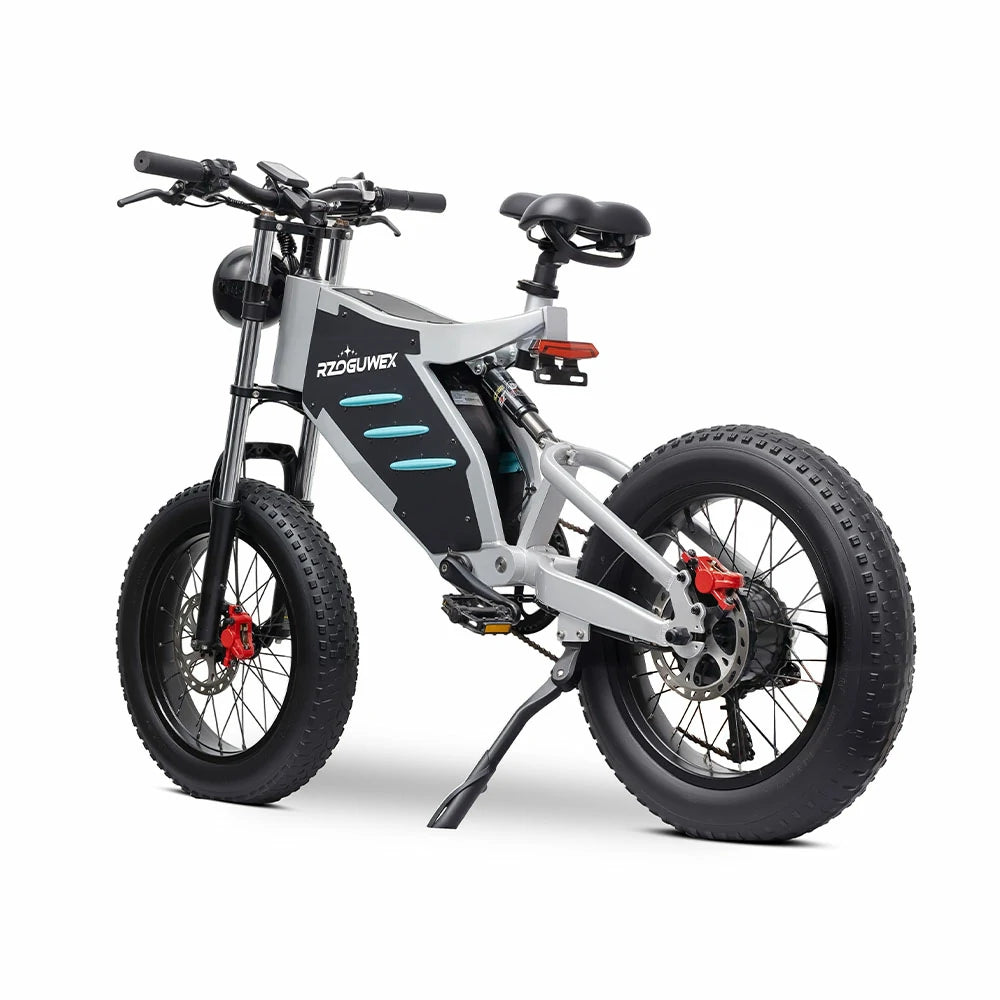 RZOGUWEX X5 (EU) Electric Bike