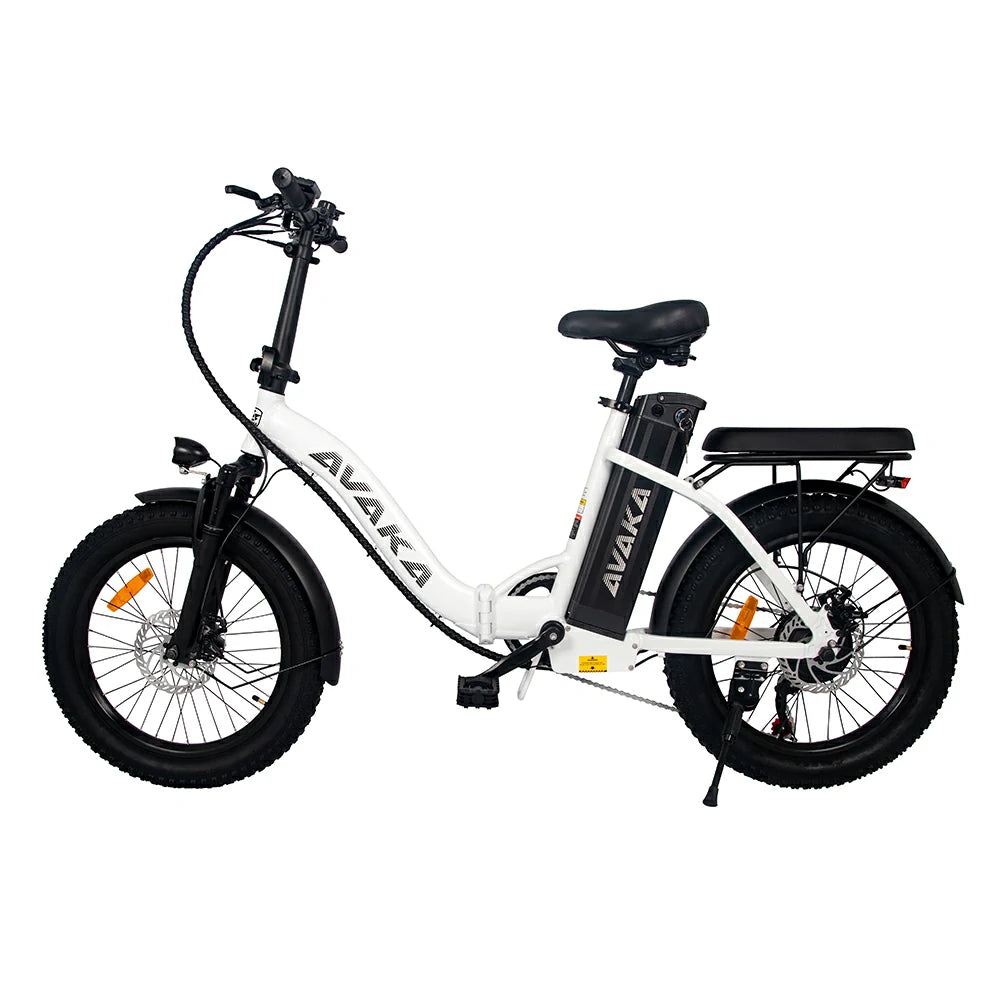 AVAKA BZ20 Plus Spoke Tires (UK) Electric Bike