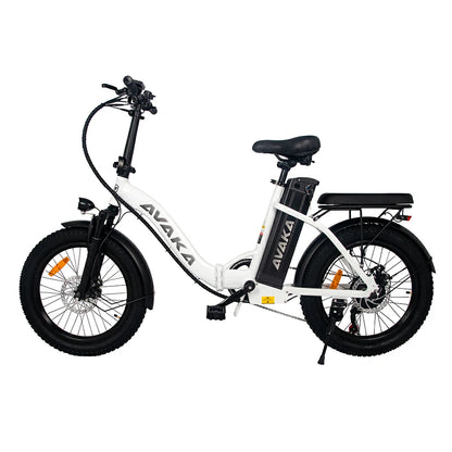 AVAKA BZ20 Plus Spoke Tires (EU) Electric Bike