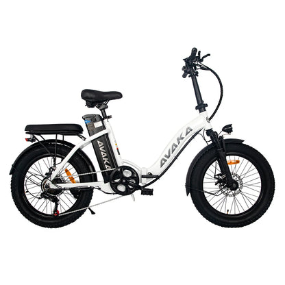 AVAKA BZ20 Plus Spoke Tires (EU) Electric Bike