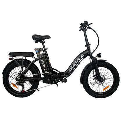AVAKA BZ20 Plus Spoke Tires (EU) Electric Bike