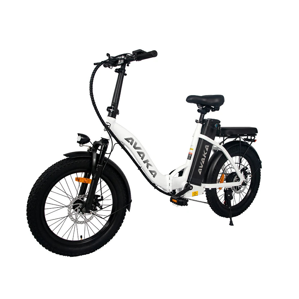 AVAKA BZ20 Plus Spoke Tires (UK) Electric Bike
