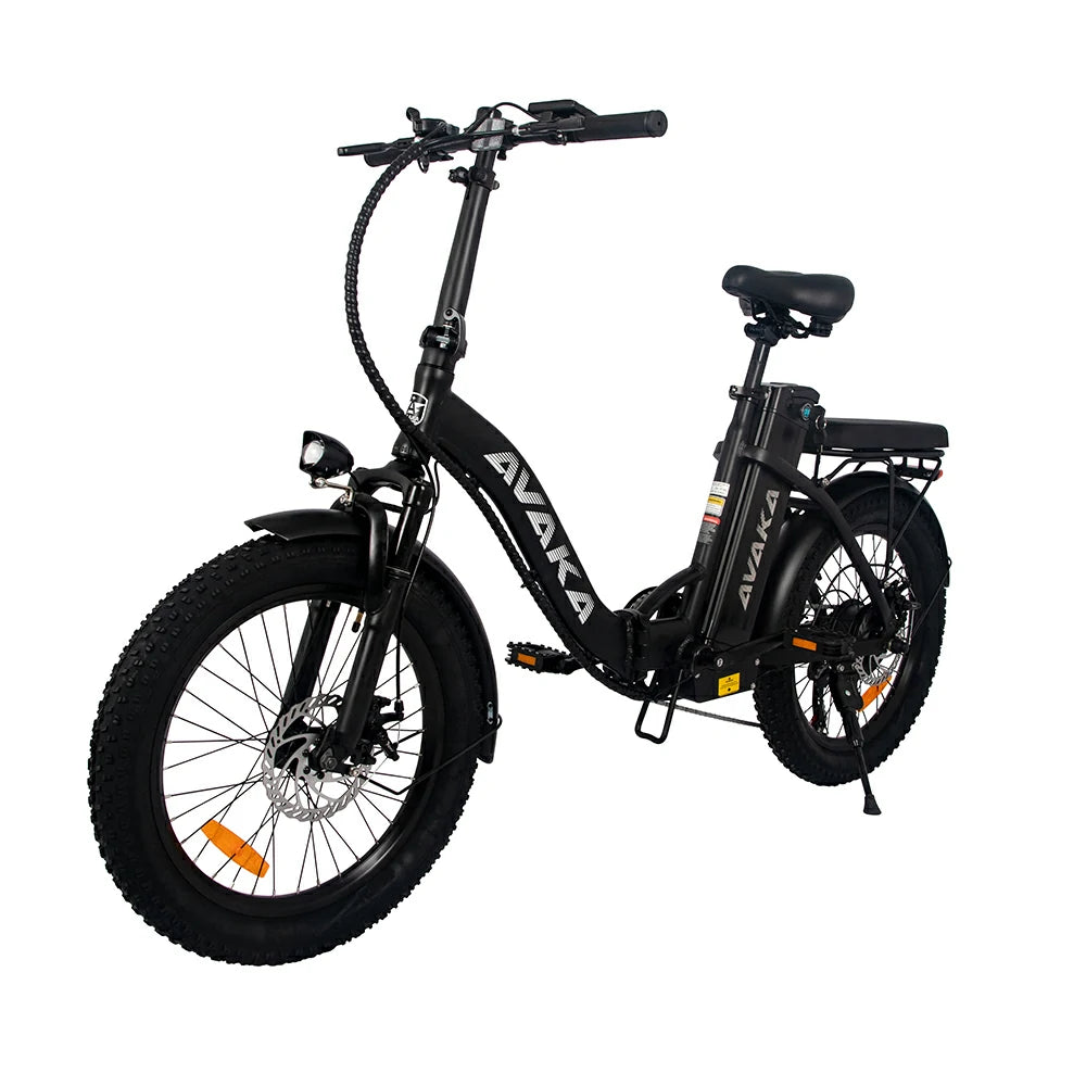 AVAKA BZ20 Plus Spoke Tires (EU) Electric Bike