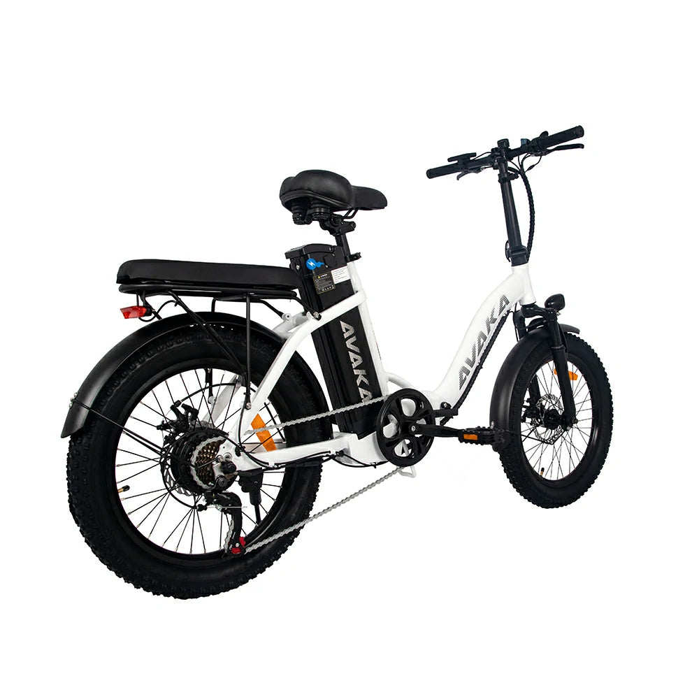 AVAKA BZ20 Plus Spoke Tires (UK) Electric Bike