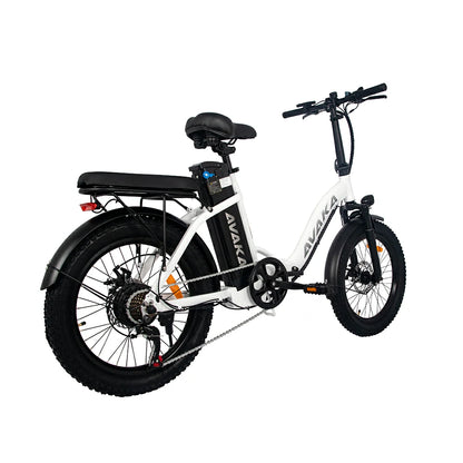 AVAKA BZ20 Plus Spoke Tires (EU) Electric Bike
