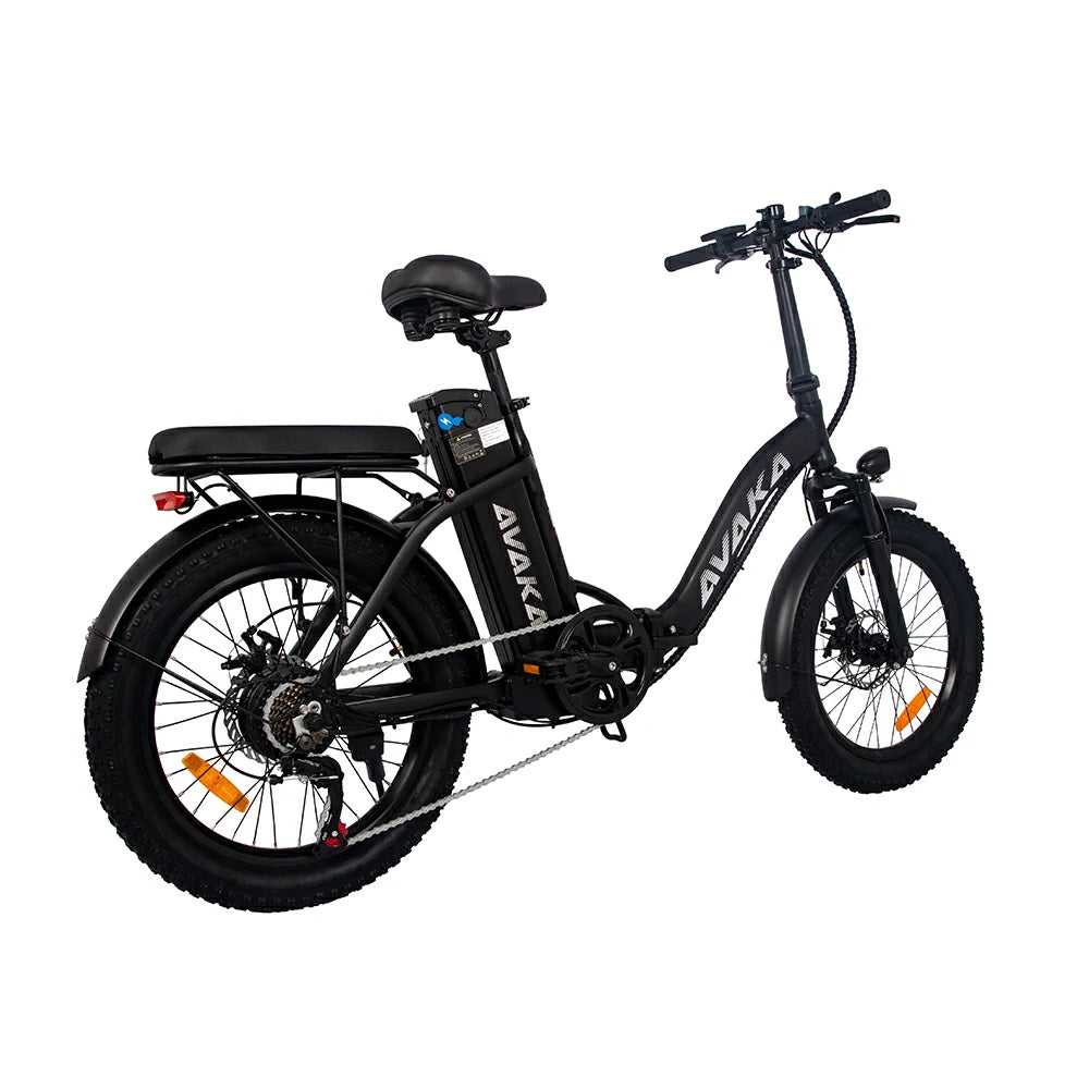 AVAKA BZ20 Plus Spoke Tires (UK) Electric Bike