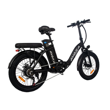 AVAKA BZ20 Plus Spoke Tires (EU) Electric Bike