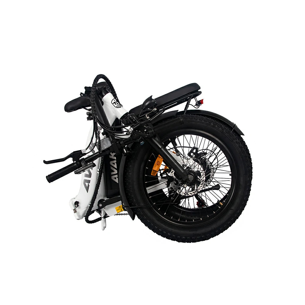 AVAKA BZ20 Plus Spoke Tires (EU) Electric Bike