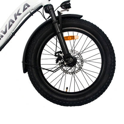 AVAKA BZ20 Plus Spoke Tires (EU) Electric Bike