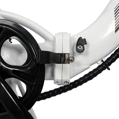 AVAKA BZ20 Plus Spoke Tires (EU) Electric Bike