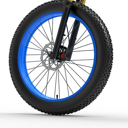 Bezior X Plus (EU) Electric Bike