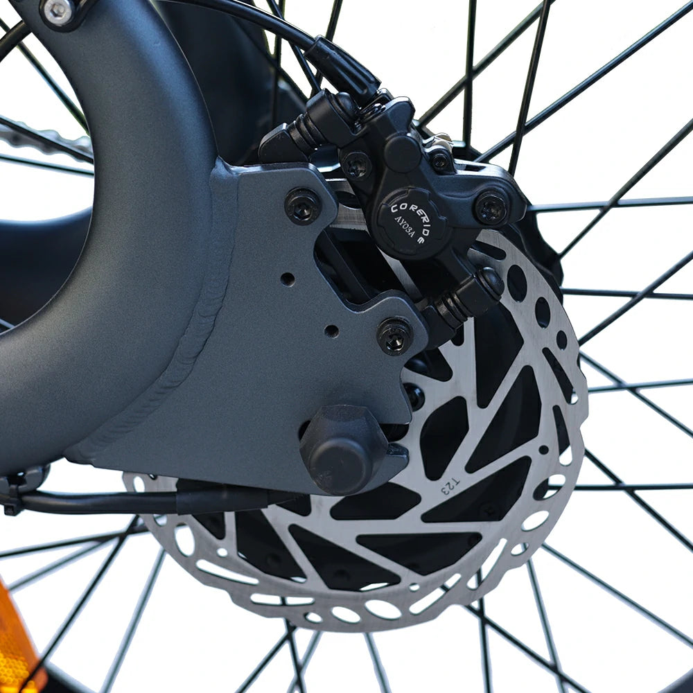 Bezior XF006 (EU) Electric Bike