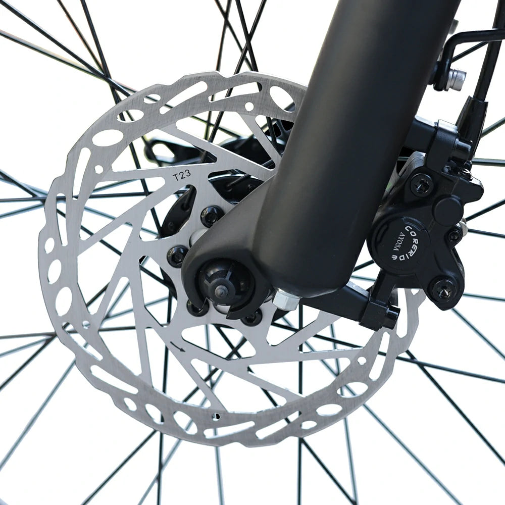 Bezior XF006 (EU) Electric Bike