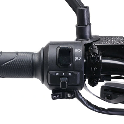 Bezior XIAONIU B (EU) Electric Bike