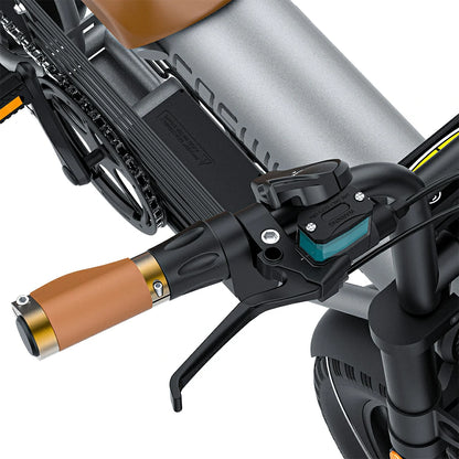 Coswheel CT20 (EU) Electric Bike