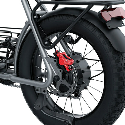 Coswheel CT20 (EU) Electric Bike