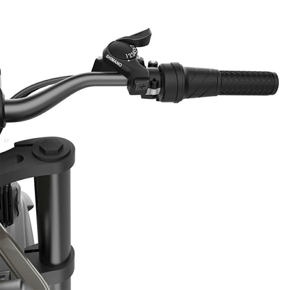 Coswheel R19 (US) Electric Bike