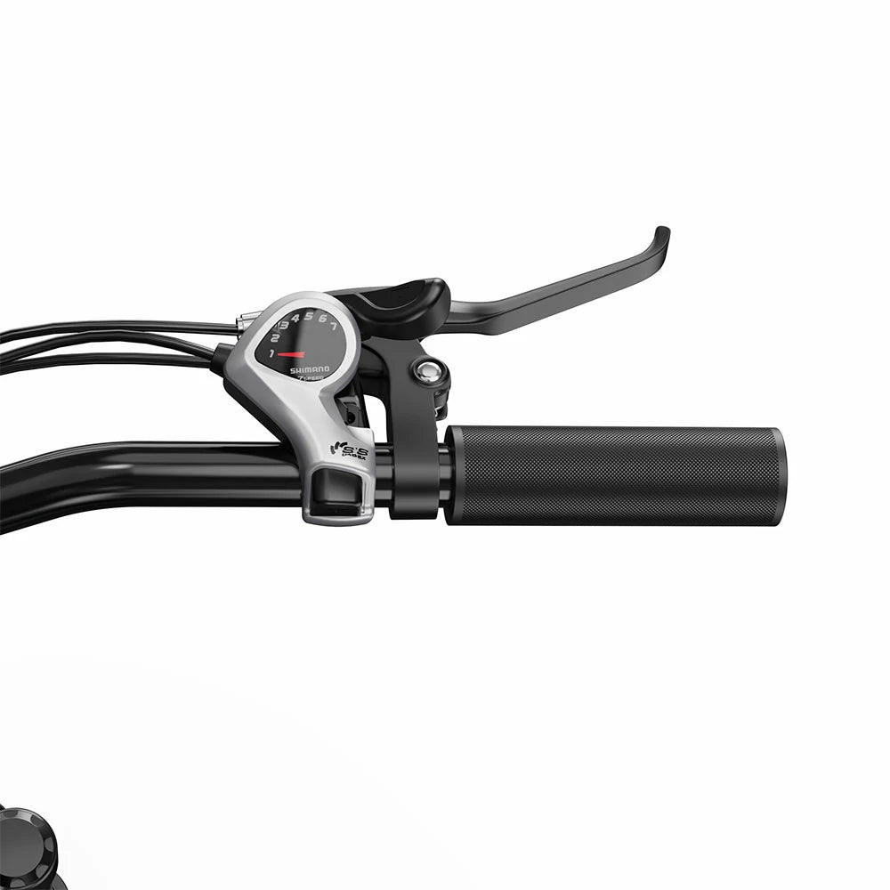 DUOTTS C29 Lite (EU) Electric Bike