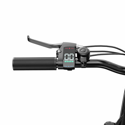 DUOTTS C29 Lite (EU) Electric Bike