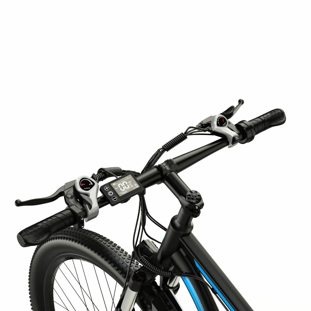 DUOTTS C29 (EU) Electric Bike