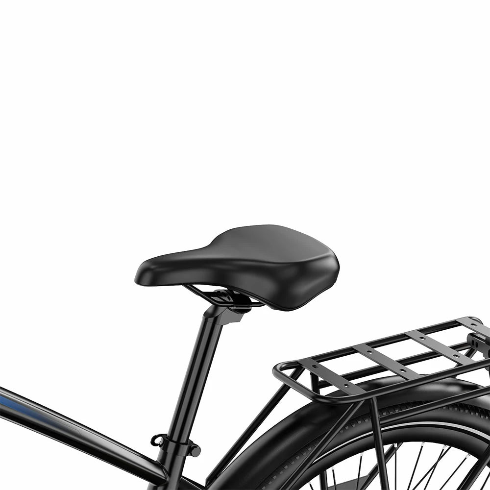 DUOTTS C29 Max (EU) Electric Bike