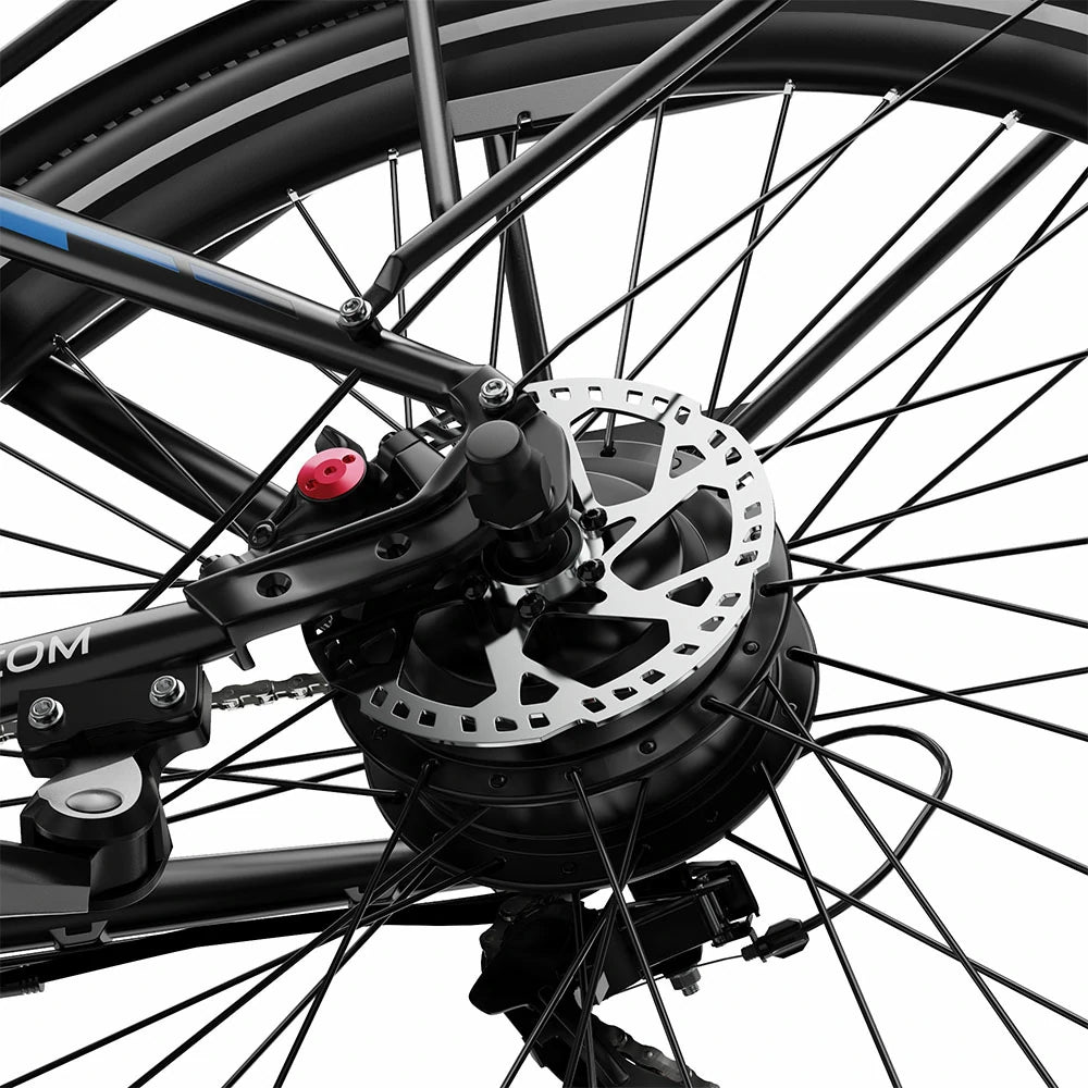 DUOTTS C29 Max (EU) Electric Bike