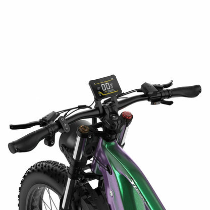 DUOTTS E26 (EU) Electric Bike