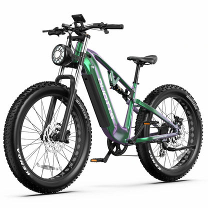 DUOTTS E26 (EU) Electric Bike