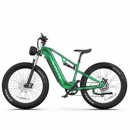 DUOTTS E26 (EU) Electric Bike