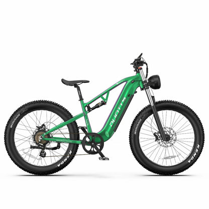 DUOTTS E26 (EU) Electric Bike