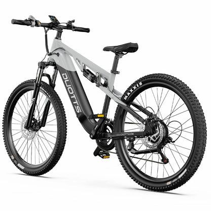 DUOTTS E29 (EU) Electric Bike