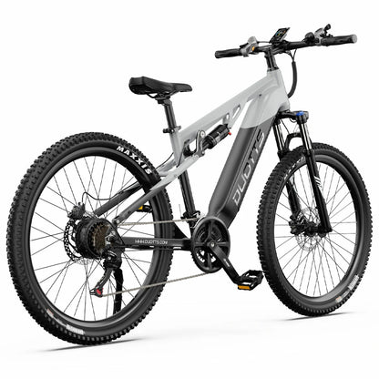 DUOTTS E29 (EU) Electric Bike