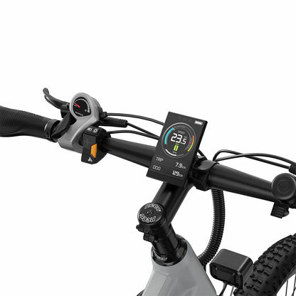 DUOTTS E29 (EU) Electric Bike