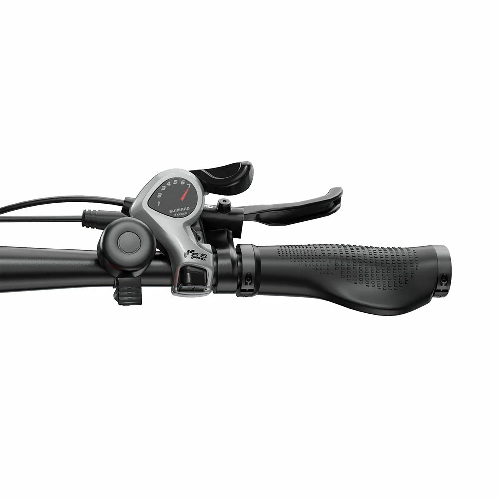 DUOTTS E29 (EU) Electric Bike