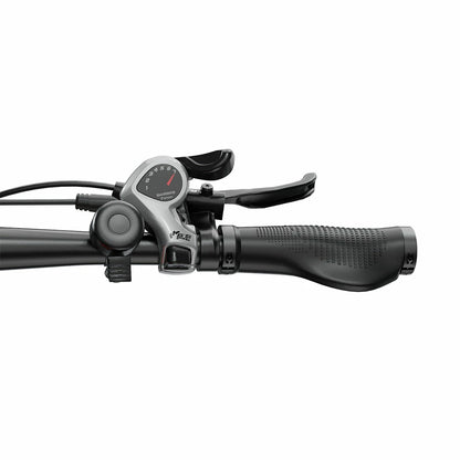 DUOTTS E29 (EU) Electric Bike