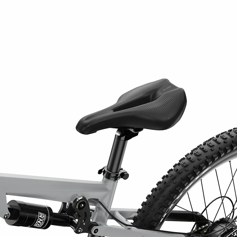 DUOTTS E29 (EU) Electric Bike