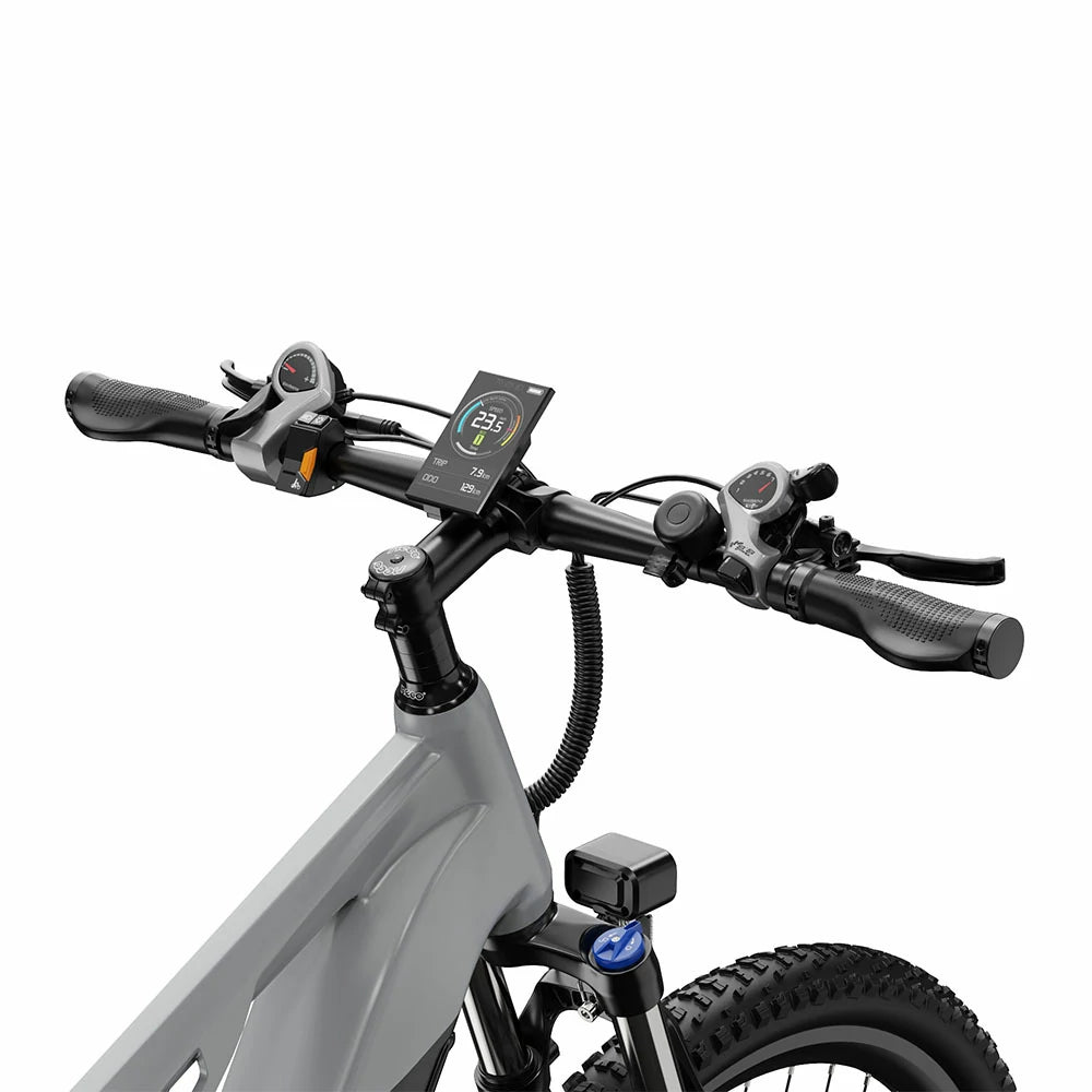 DUOTTS E29 (EU) Electric Bike