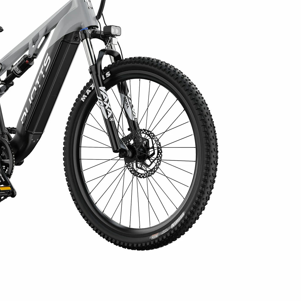 DUOTTS E29 (EU) Electric Bike
