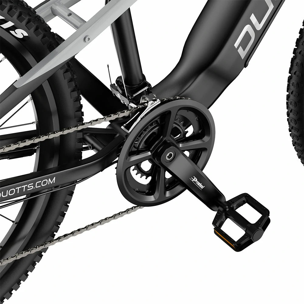 DUOTTS E29 (EU) Electric Bike