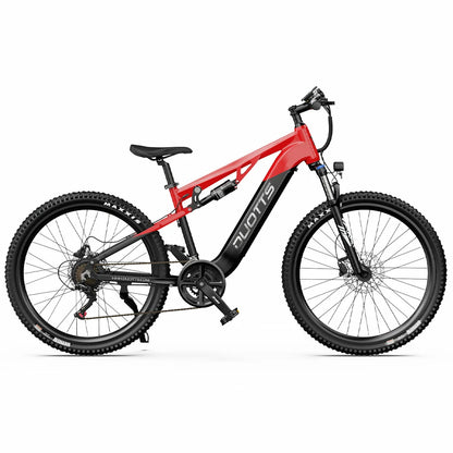 DUOTTS E29 (EU) Electric Bike