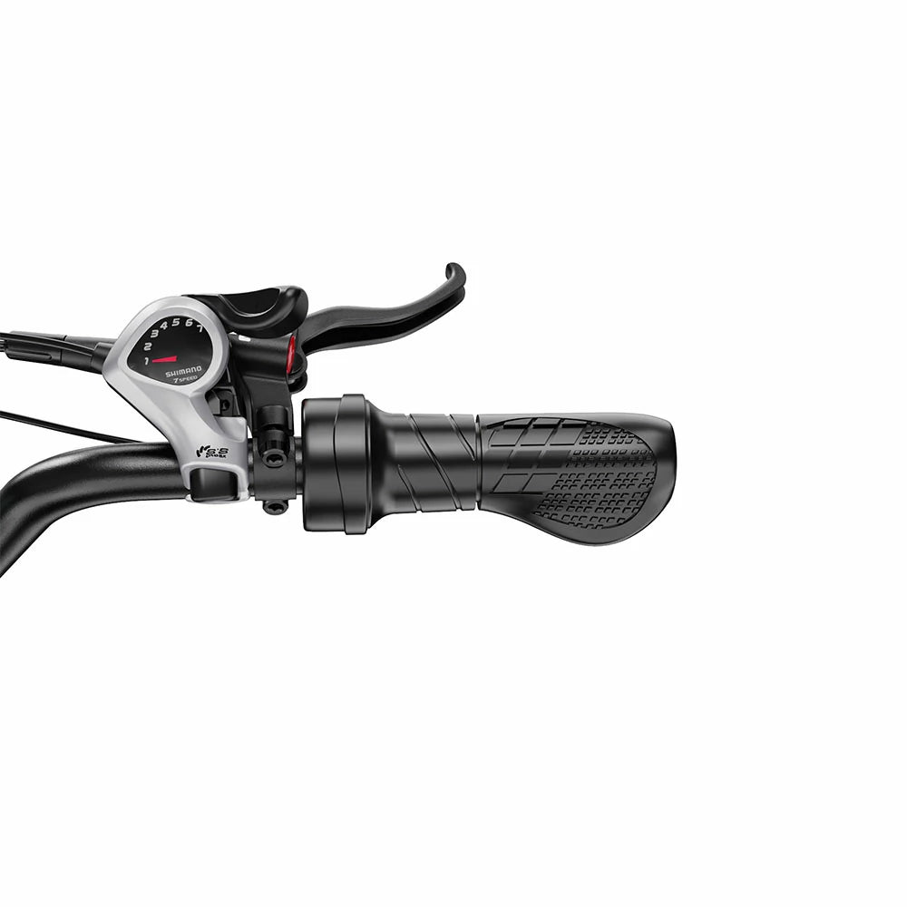 DUOTTS F20 (EU) Electric Bike